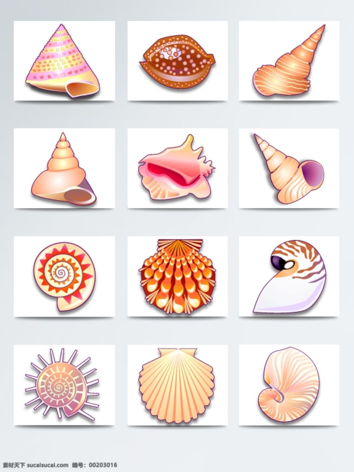 海洋 彩色 海螺 贝壳 图标素材 海滩贝壳 漂亮贝壳 漂亮海螺