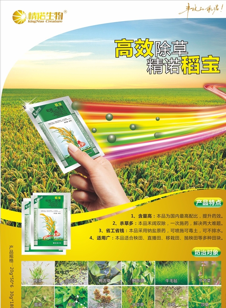 稻寶 單頁(yè) 宣傳單 dm 農(nóng)藥廣告 生物科技 稻田背景 廣告設(shè)計(jì)精諾 展板背景 手 防治雜草 稗草 眼子菜 鴨舌草 牛毛氈 節(jié)節(jié)菜 澤瀉 母草
