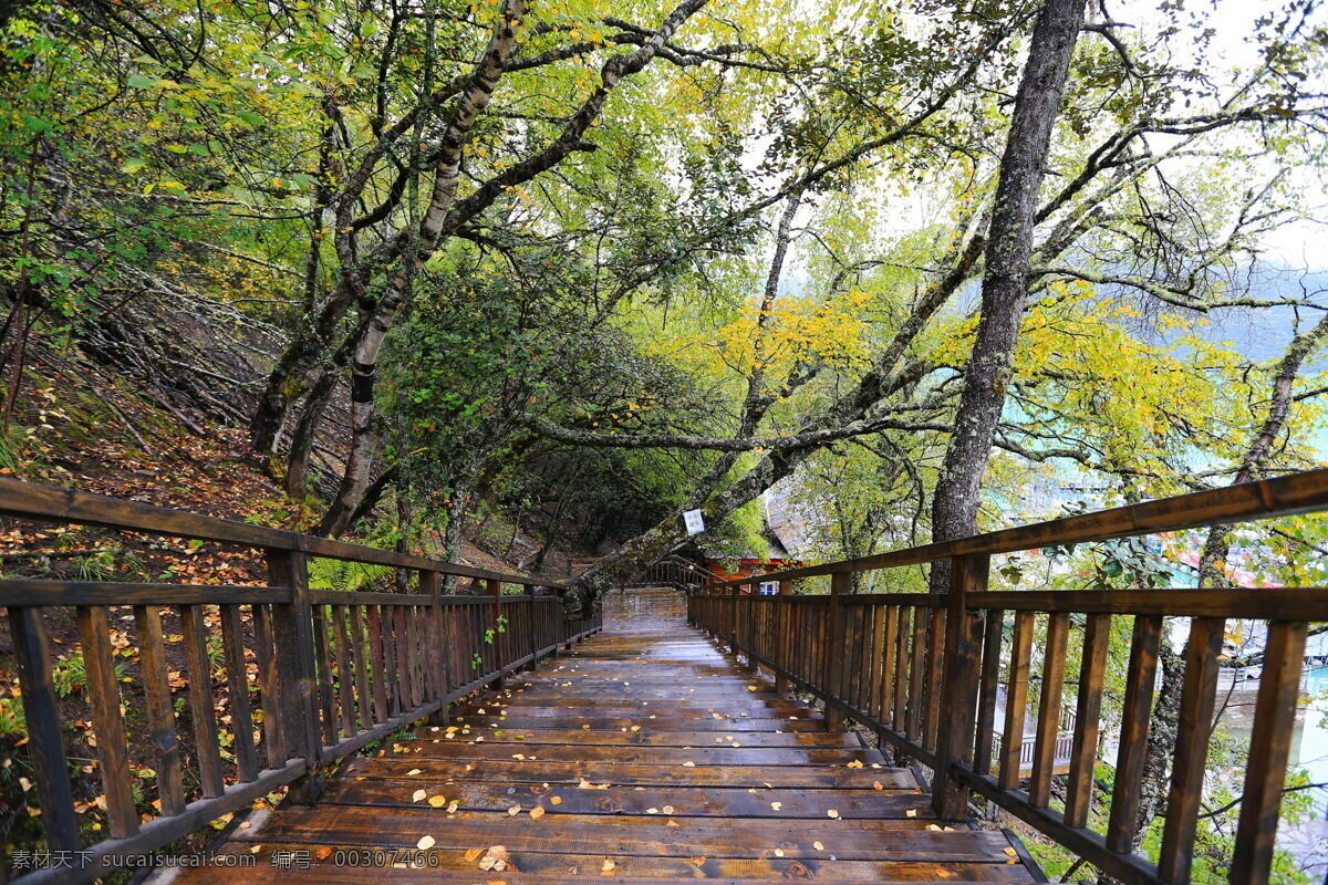 西藏林芝風景