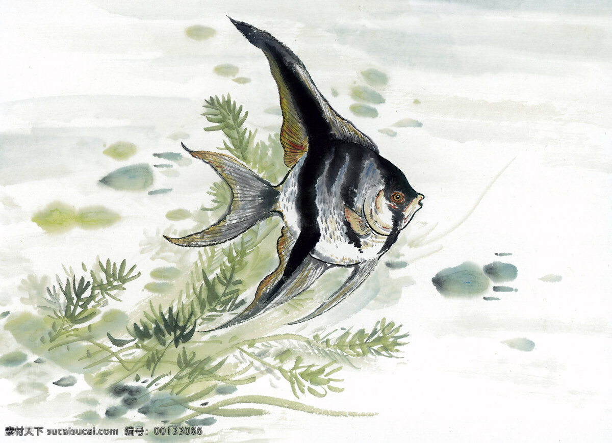 熱帶魚 寫意水族 國畫 設(shè)計素材 動物畫篇 中國畫篇 書畫美術(shù) 白色