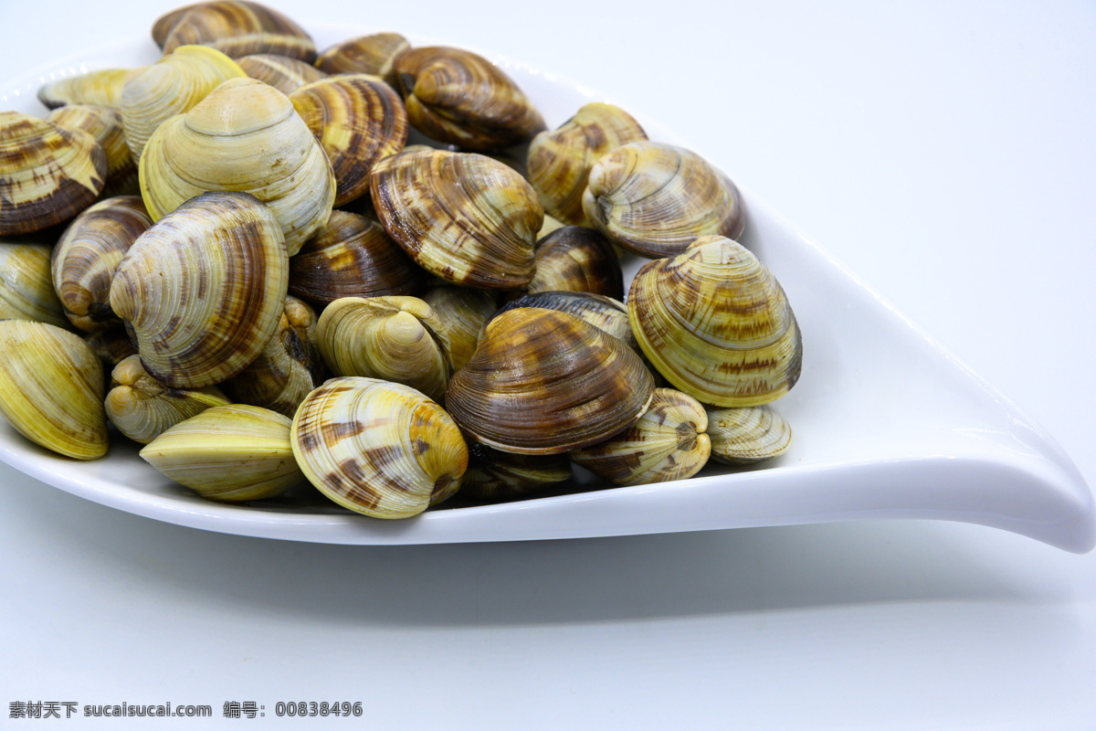 蛤蜊图片 蛤蜊 静物 概念 食品 东方 中国 新鲜 特写 海鲜 贝壳 饮食 美味 形状 白色背景 无人 东亚 彩色图片 水平构图 亚洲 饮食产业 健康食物 海产 甲壳动物 有机食品 食物状态 营养 美食 饮食文化 健康食品 少量物体 海蛤 图片视觉效果 生食 膳食 组物体 影棚拍摄 户内 主题 贝类 餐饮美食 食物原料