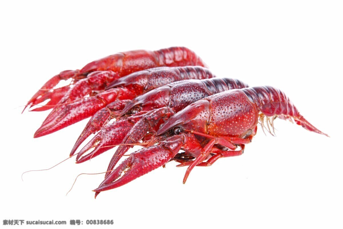 麻辣 小 龍蝦 美食文化掛圖 小龍蝦文化墻 麻辣小龍蝦 小龍蝦海報 美食宣傳海報 小龍蝦展架 小龍蝦宣傳單 小龍蝦dm 小龍蝦展板 小龍蝦上市 新鮮小龍蝦 新品小龍蝦 美味小龍蝦 鹽水小龍蝦 蒜蓉小龍蝦 五香小龍蝦 餐飲美食