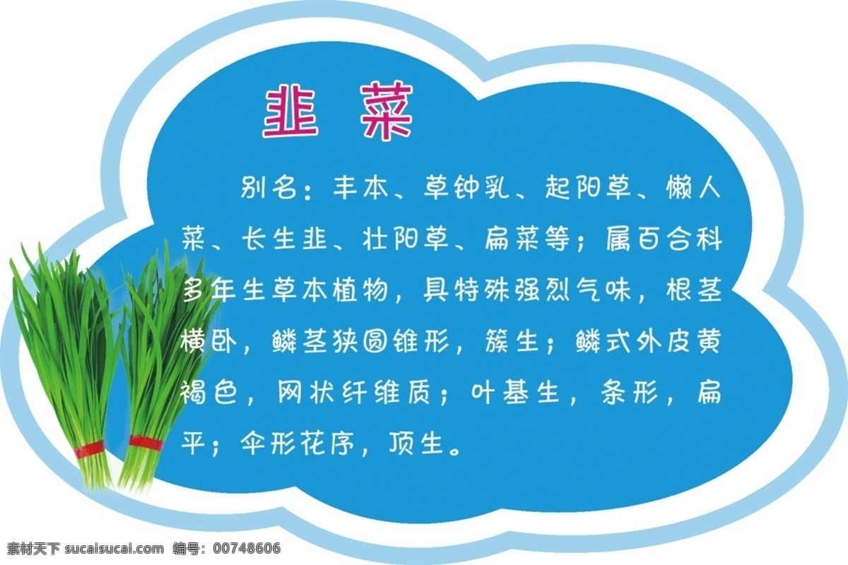 蔬菜牌韭菜 蔬菜 韭菜 介绍 蓝色 异形 室外广告设计