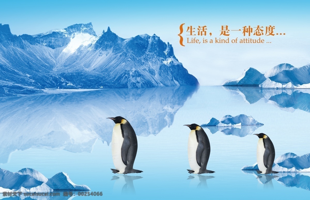 冰山 企鹅 广告模版 桌面壁纸 南极 大海 海洋 清晰 分层 文件 广告设计模板 源文件