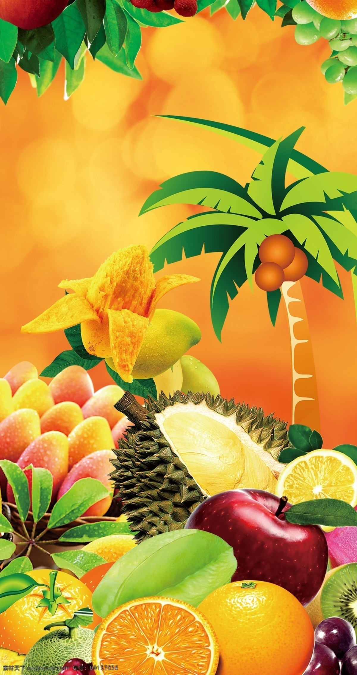 水果批发 新鲜水果 柠檬 橙子 柚子 苹果 椰子