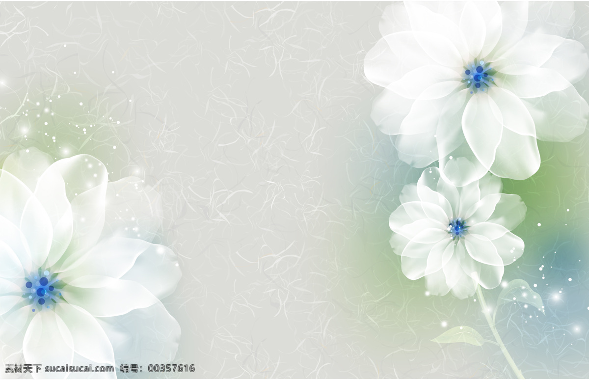 白色 花朵 透明 移門 碎紋 自然景觀 自然風光