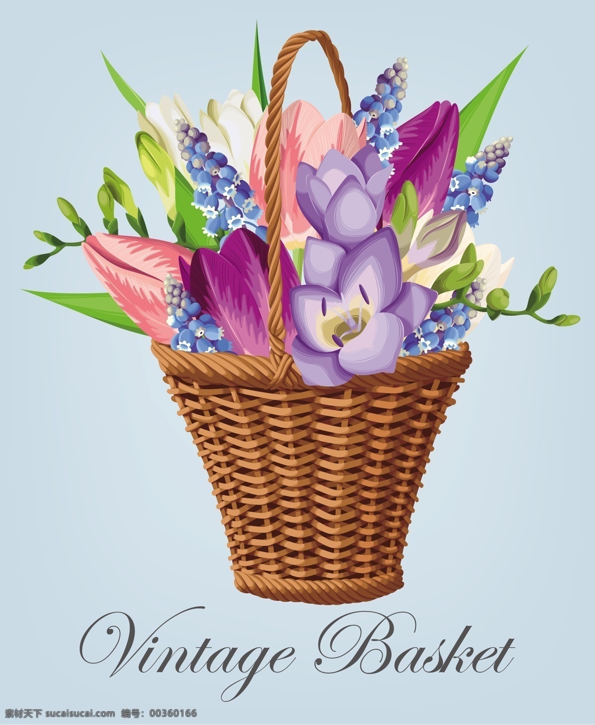 竹籃 里 鮮花 插畫 矢量