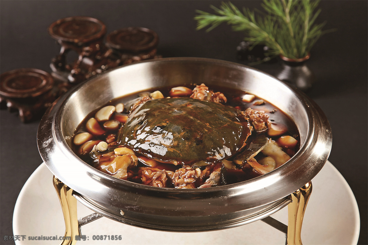 燜 甲魚 高清 圖 燜甲魚高清圖 美食 傳統(tǒng)美食 餐飲美食 高清菜譜用圖