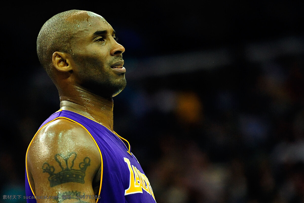科比 nba 籃球 明星偶像 人物圖庫 體育 美職籃 psd源文件