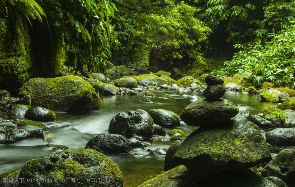 小溪 岩石 青苔 苔藓 森林 石头 溪水 山 自然 绿色 丛林 背景 壁纸 摄影图 自然景观 山水风景