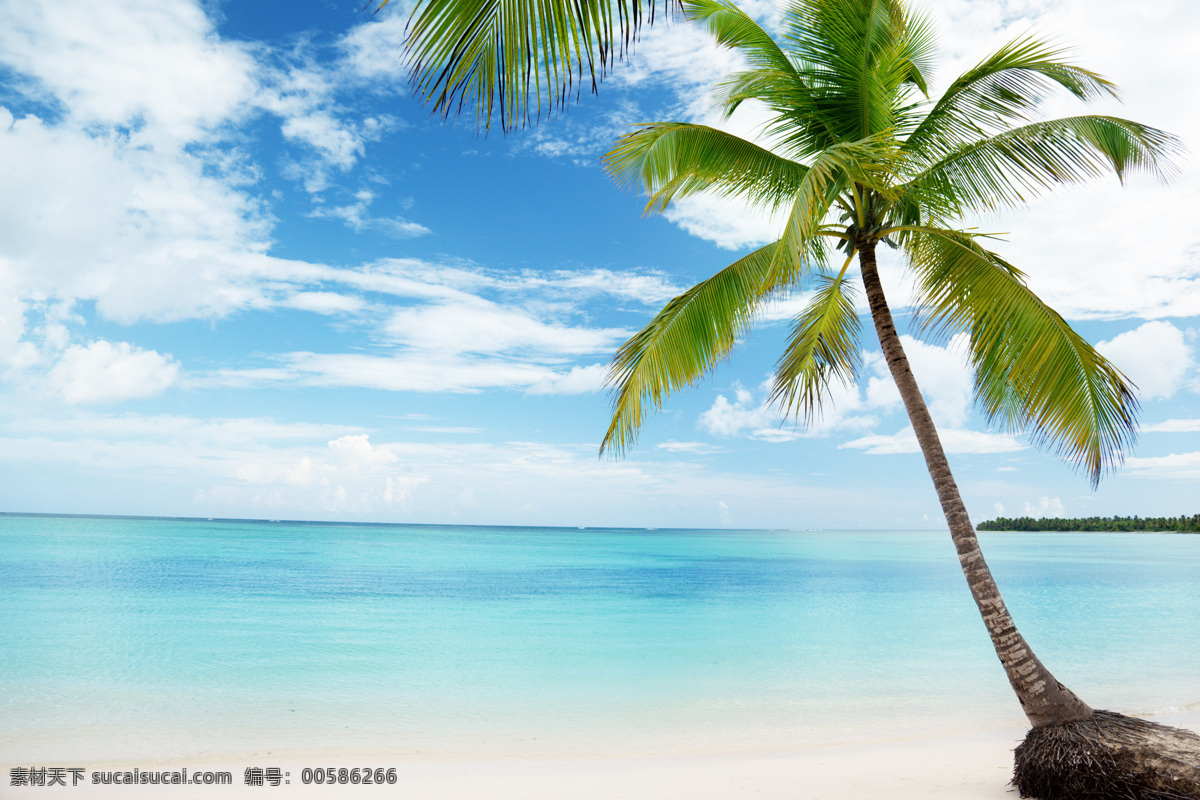 美麗 海灘 風(fēng)景 熱帶海灘 大海 沙灘 美麗風(fēng)景 沙灘美景 海面 海景 椰樹(shù) 風(fēng)景攝影 夏日海灘 大海圖片 風(fēng)景圖片
