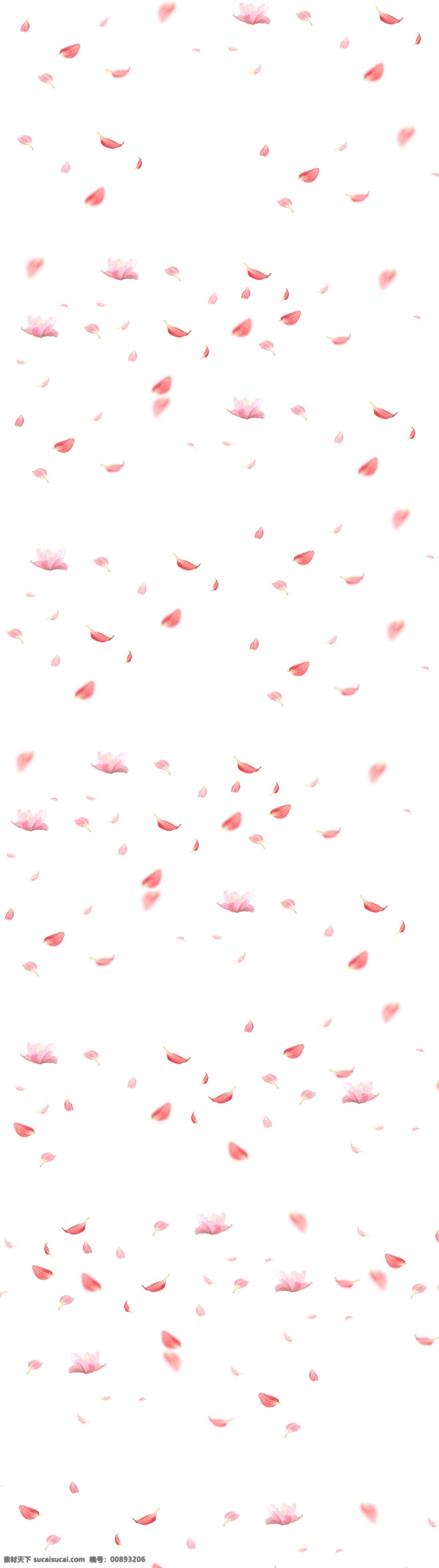桃花 花瓣图片 花瓣 红色花瓣 透明底 免抠图 分层图 分层