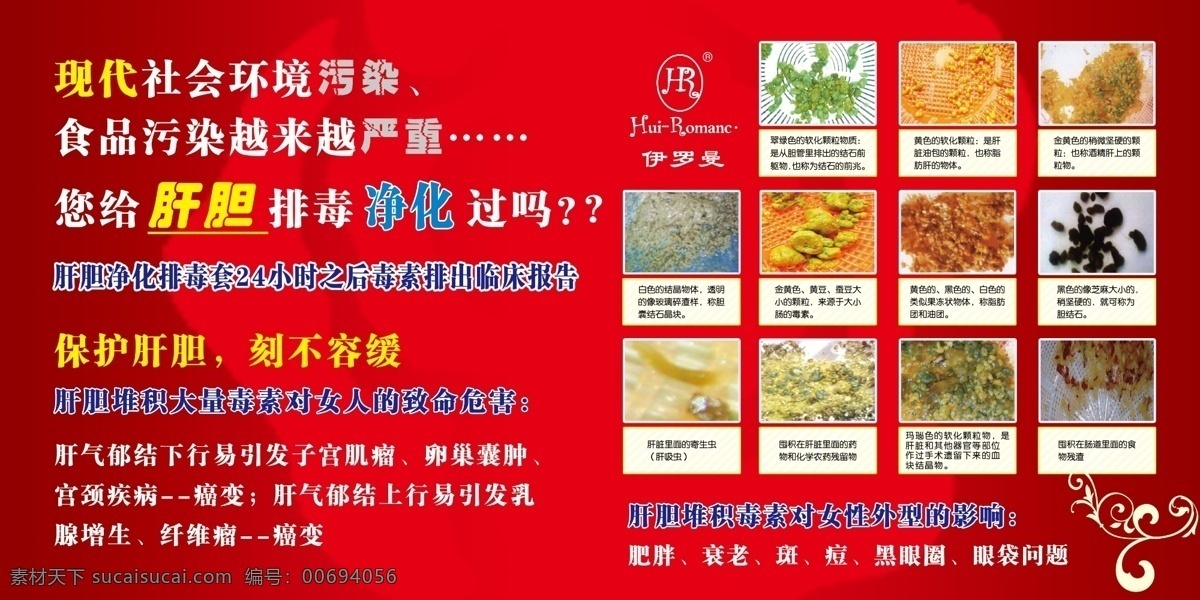 美容美體 肝膽 排毒 凈化 高清 分層 高清分層 紅色