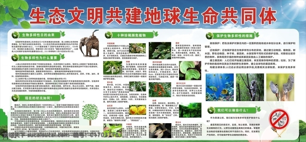 生態(tài) 文明 共建 地球 生命 展板 環(huán)境 珍稀物種 綠色 單位
