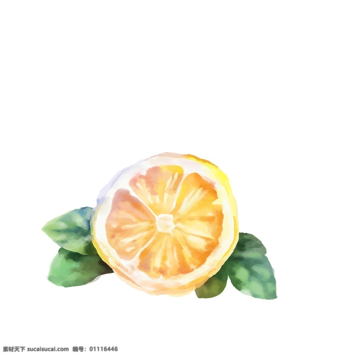 鼠标手绘柠檬 手绘素材 水果 柠檬 分层 鼠绘 蜂蜜 蜜蜂 橙子 玫瑰 花儿 矢量花朵 花素材 叶子 矢量花 生物世界 花草