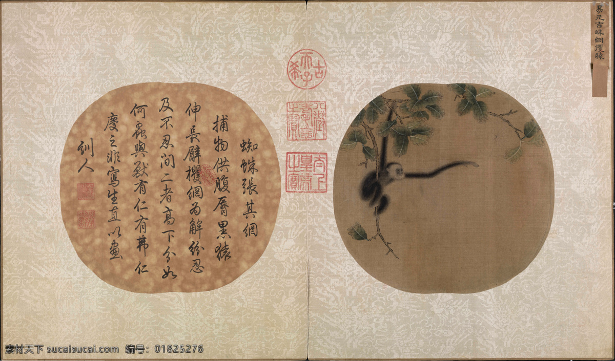 蛛網(wǎng)攫猿圖頁 宋代 佚名 高清國(guó)畫 繪畫書法 文化藝術(shù)