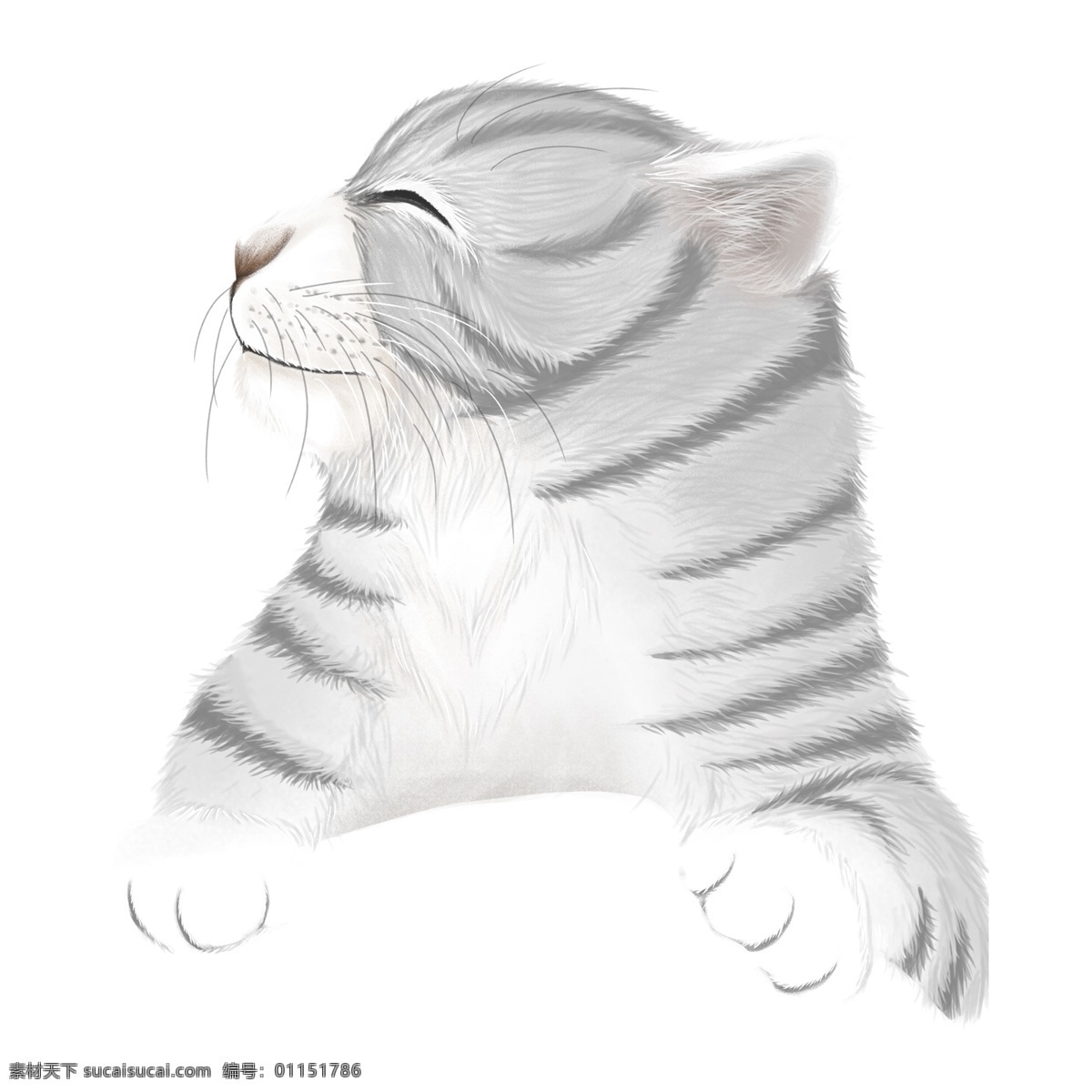 可爱 卖 萌 猫咪 透明 水彩 插画 卡通 透明素材 动物 装饰图案 宠物