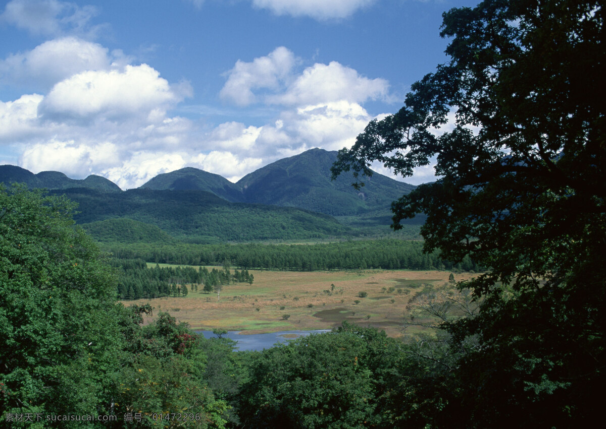 晨霧 村莊 風(fēng)景 風(fēng)景背景 風(fēng)景畫 河流 湖泊 湖景 湖面 湖畔 山 山水風(fēng)景 山峰 山水背景 山水風(fēng)光 山坡 綠色背景 綠葉 綠草地 綠樹 樹木 樹木大樹 山林 森林 森林風(fēng)景 森林公園 森林背景 景色 山景 秋天風(fēng)景 自然風(fēng)景 自然風(fēng)光 自然景色 霧氣 霧中的山 梯田 湖水風(fēng)景 藍(lán)天白云 花紋背景 花瓣 花草 花卉 花藤 藍(lán)天草地 藍(lán)天大海 野外 野外風(fēng)景 夕陽風(fēng)景 溪水 家居裝飾素材 山水風(fēng)景畫