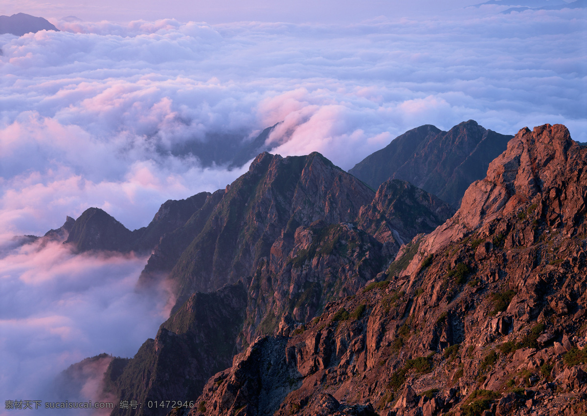 云海 照片 清晨 山 山頂 云 云海山巒 風(fēng)景 生活 旅游餐飲