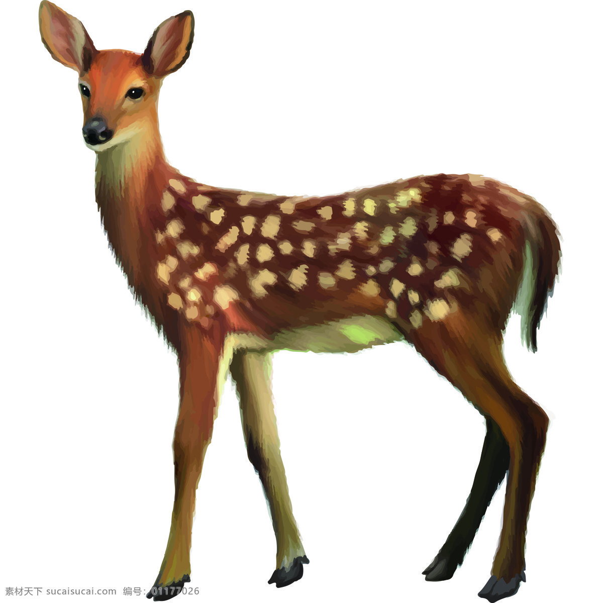 梅花鹿 动物 生物 水彩 装饰 图形图标素材