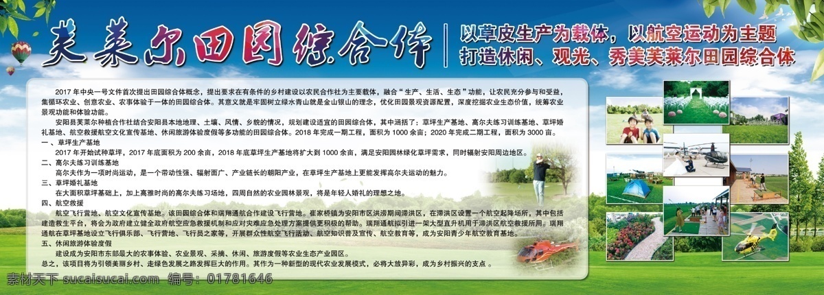 農(nóng)業(yè)展板 草皮簡介 草坪簡介 休閑旅游展板 綠色展板 綠色背景 綠化展板 綠植簡介 室內(nèi)廣告設(shè)計