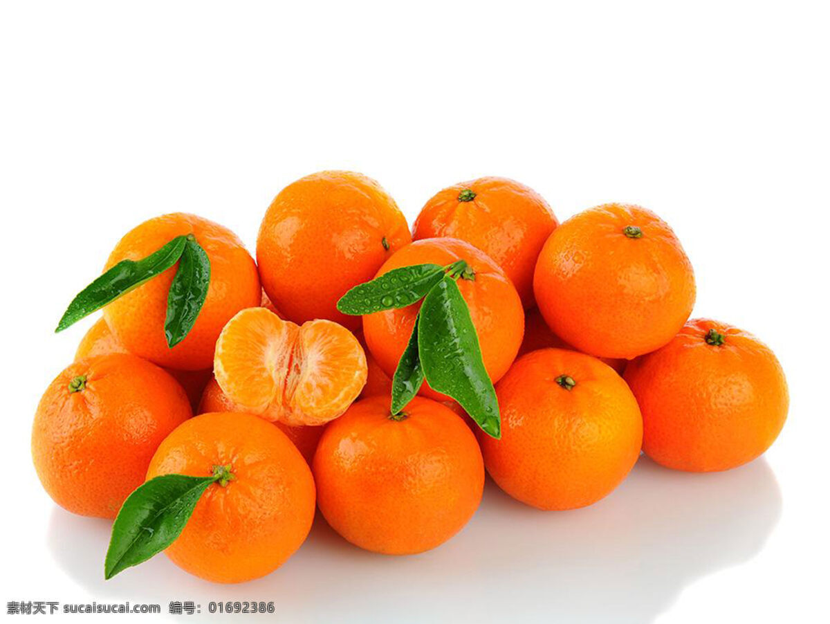 橘子图片 橘子 水果 植物 果实 生物世界