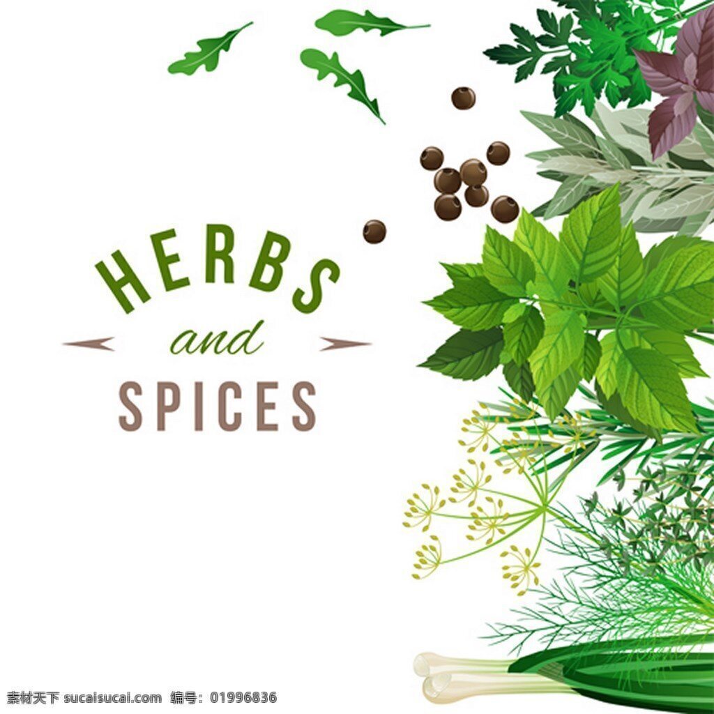 綠色植物 食物 調(diào)料 背景 圖 廣告背景 廣告 背景素材 綠色 植物 芹菜 大蔥 薄荷 白色底紋 蔬菜 香菜 香料 佐料 花椒