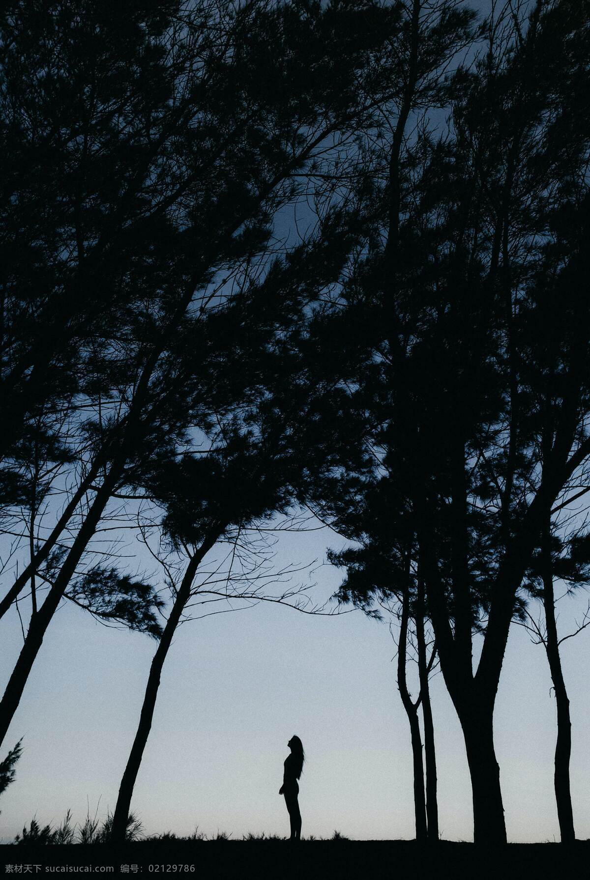 树林 森林 人物 孤单 黑夜 素材图片 背景