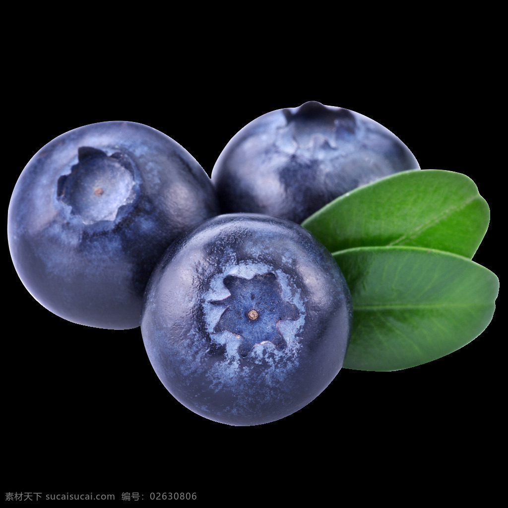 免扣水果 蓝莓 免扣 水果 新鲜 生物世界