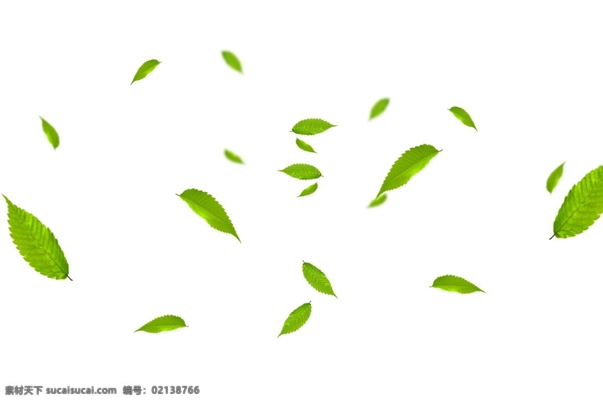 樹葉 綠葉 青翠綠葉素材 春季 樹木 卡通樹葉 植物 點綴素材 底紋邊框 彩色樹葉 矢量樹葉 秋葉 金色樹葉 紅色樹葉 樹木樹葉 各種樹葉 葉子 綠色葉子 楓葉 楓葉素材 樹枝 花紋花邊 一串樹葉 綠色樹葉 花卉植物 花草 手繪 時尚 夢幻 夢幻樹葉 各種葉子 綠色樹葉素材
