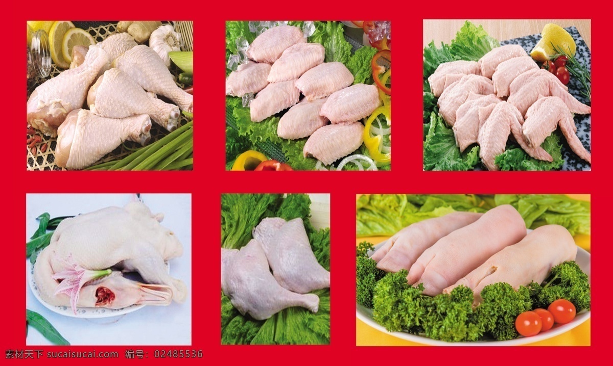 冷鮮肉 凍肉 冷凍雞腿 冷凍雞翅 冷凍豬蹄