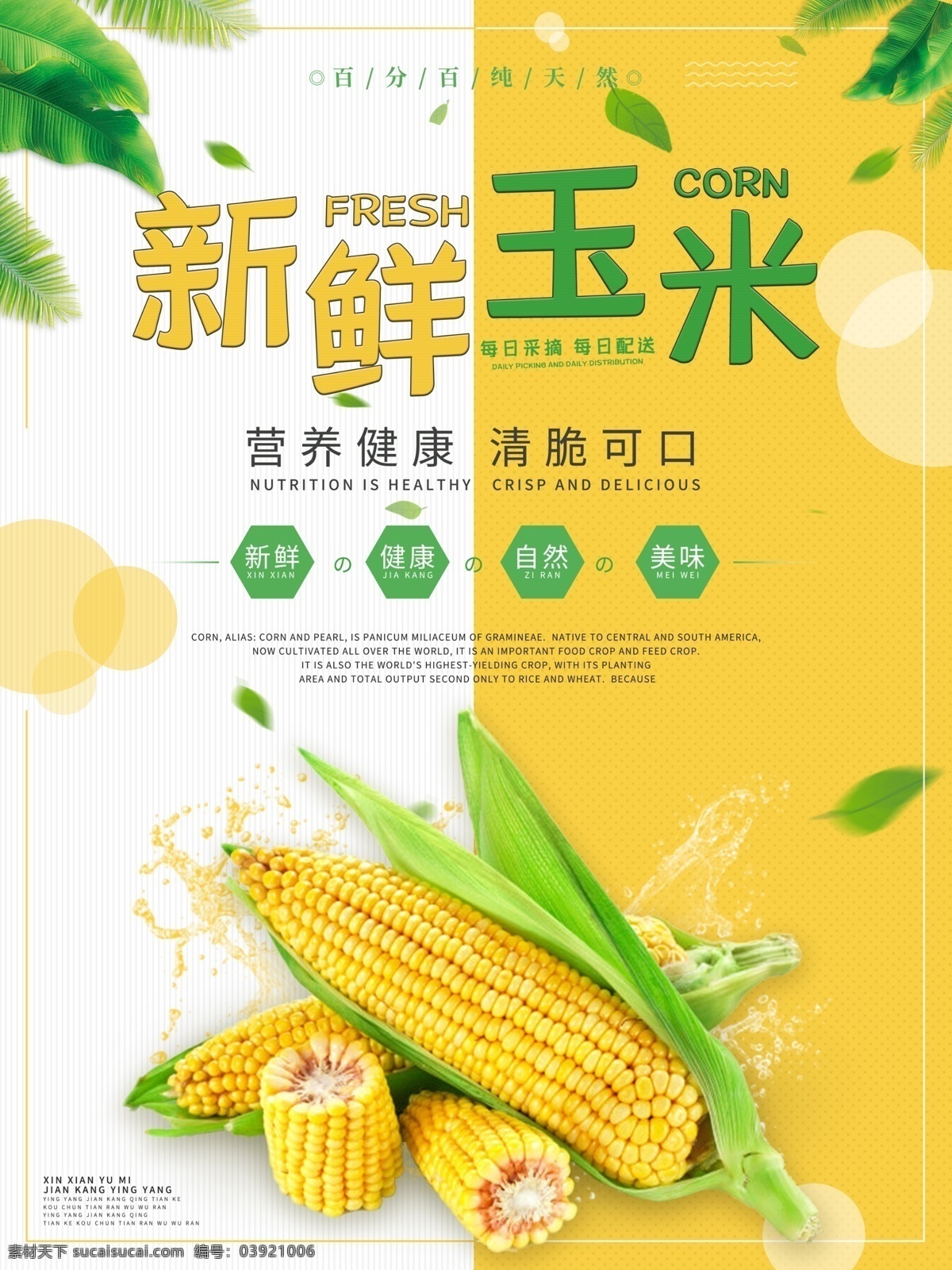 新鲜玉米海报 海报 新鲜素材 玉米素材 玉米海报 绿色海报 食品海报 玉米 分层