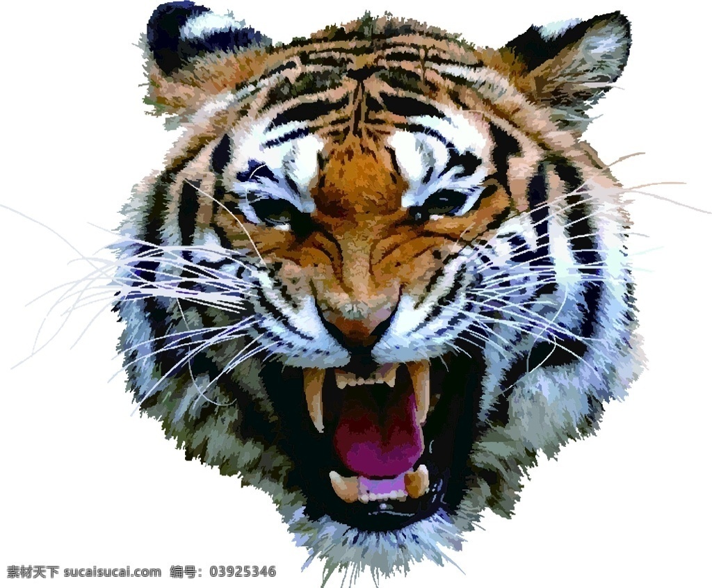 老虎头像图片 老虎 虎 大老虎 老虎的牙齿 张牙的老虎 生物世界 野生动物