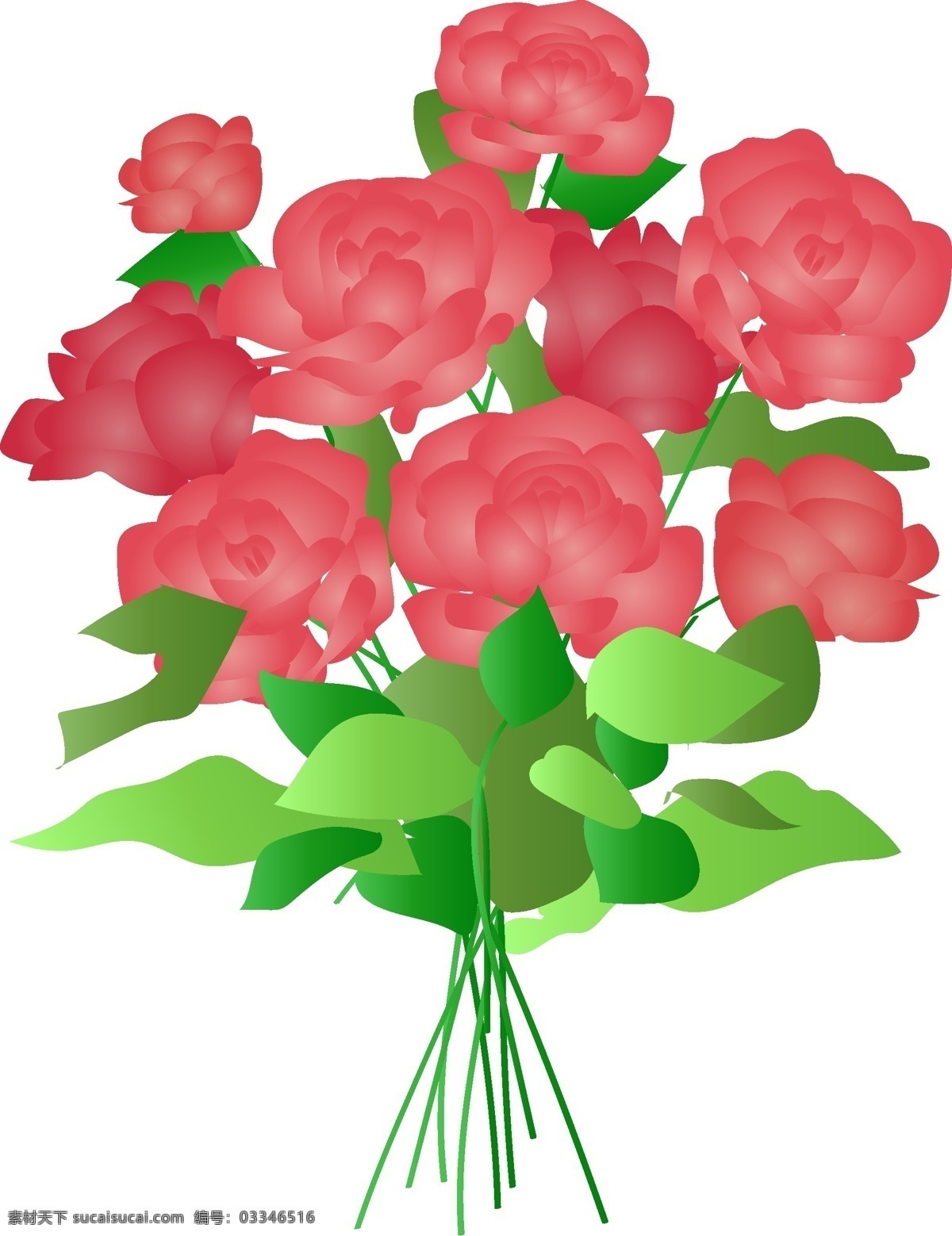 商用 手绘 节日 花束 植物 玫瑰花 蝴蝶结 插画 花朵 花艺