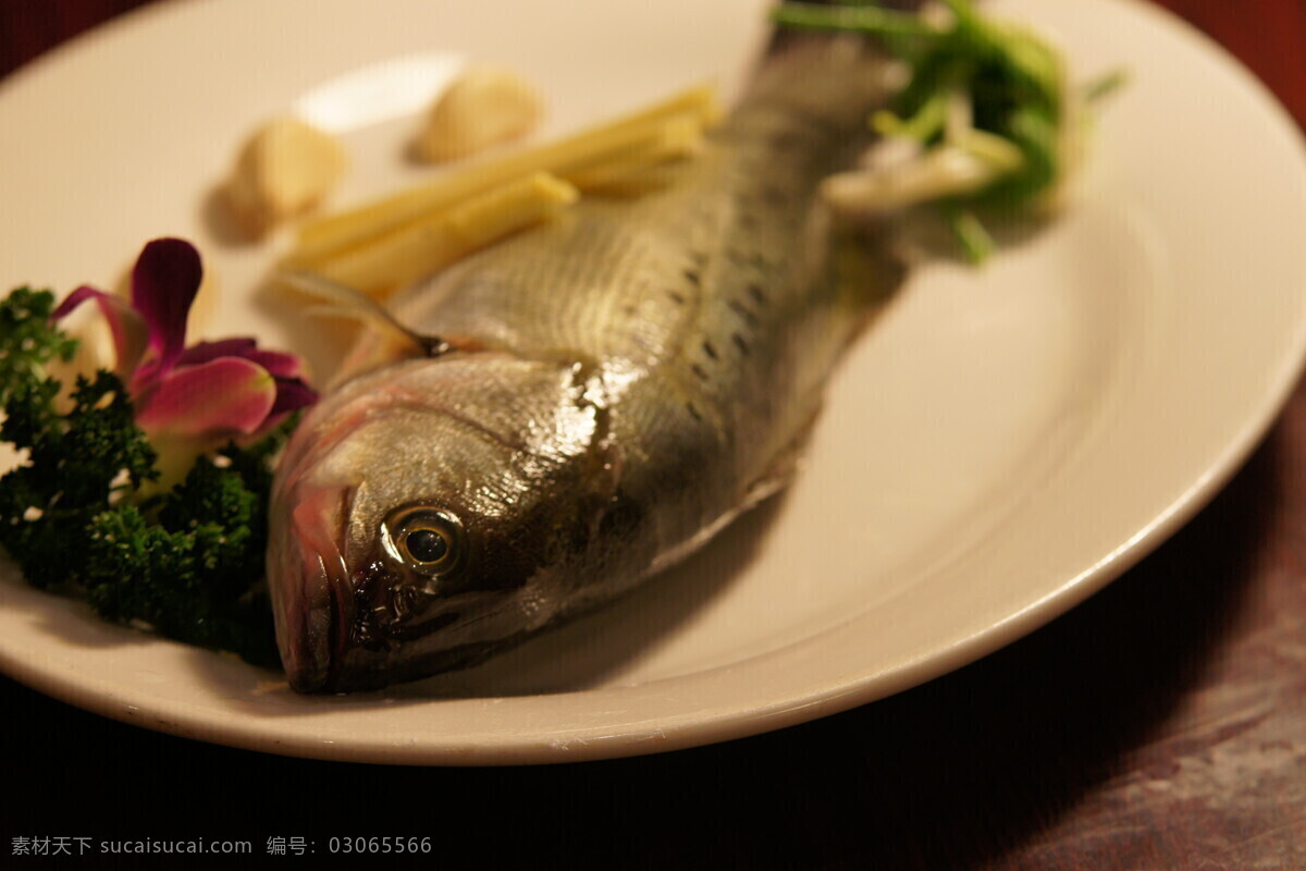 海鲈鱼 鱼 海鲜 西餐美食 餐饮美食