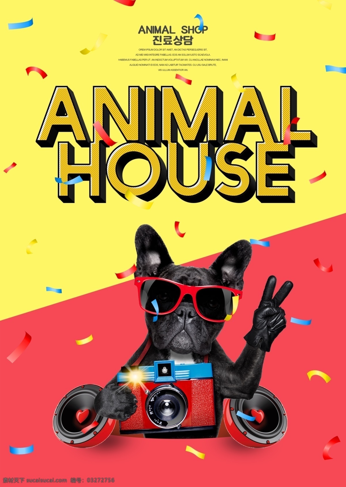 现代 时尚 韩国 宠物 宣传海报 装饰 海报 简单 狗 动物 大韩民国 可爱 动画片