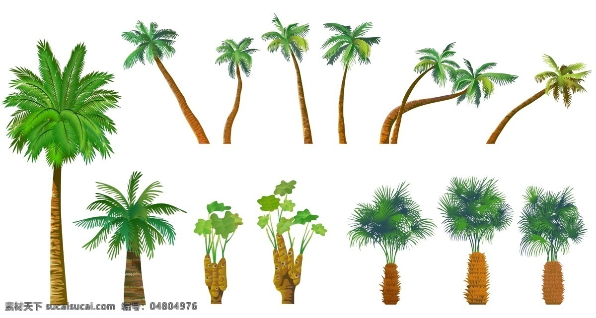 綠色植物 椰子樹 鐵樹 自然景觀 矢量