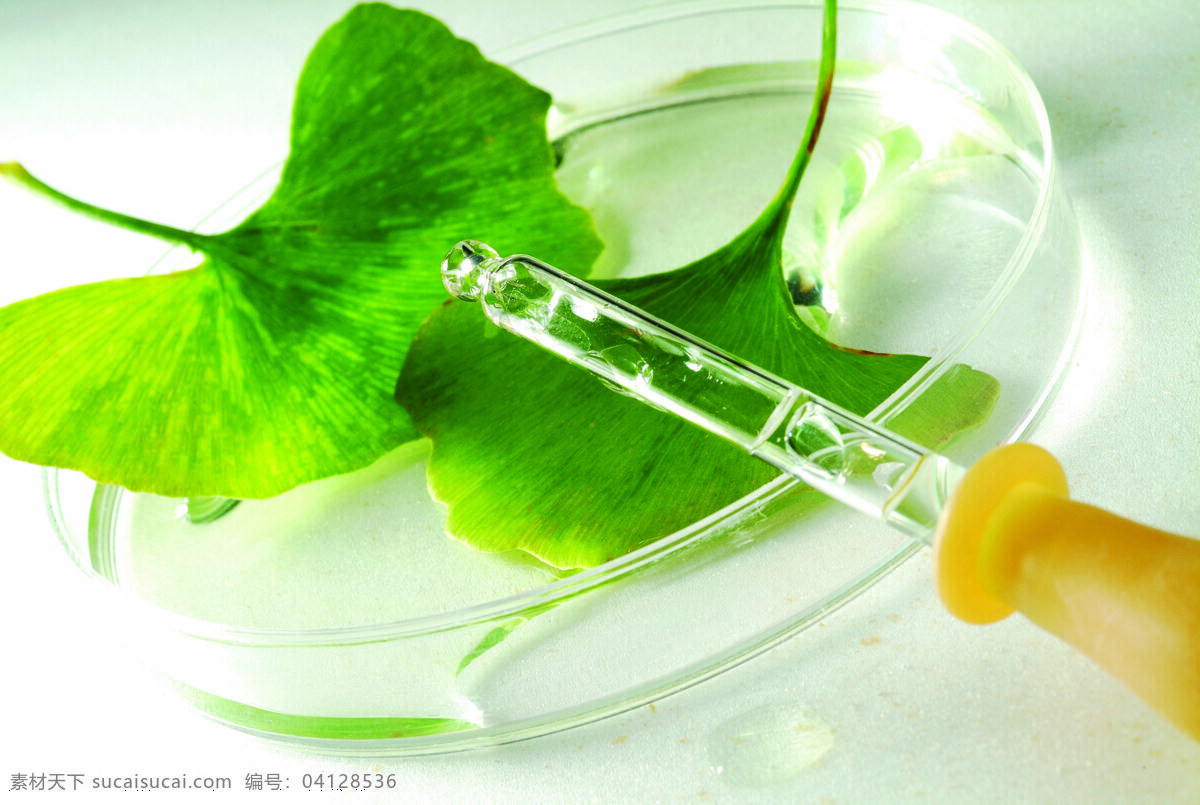 生物科学 实验 科学研究 生物科学实验 滴管 叶子 科技图片 现代科技