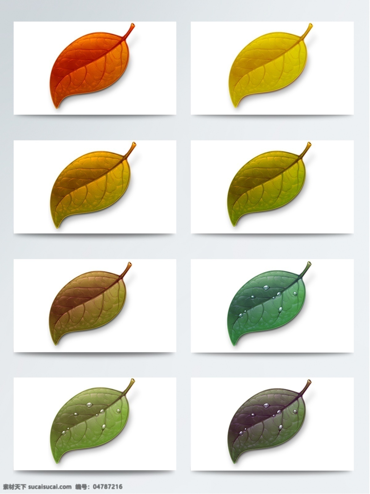 不同 季节 高清 树叶 图标素材 不同季节树叶 树叶图标