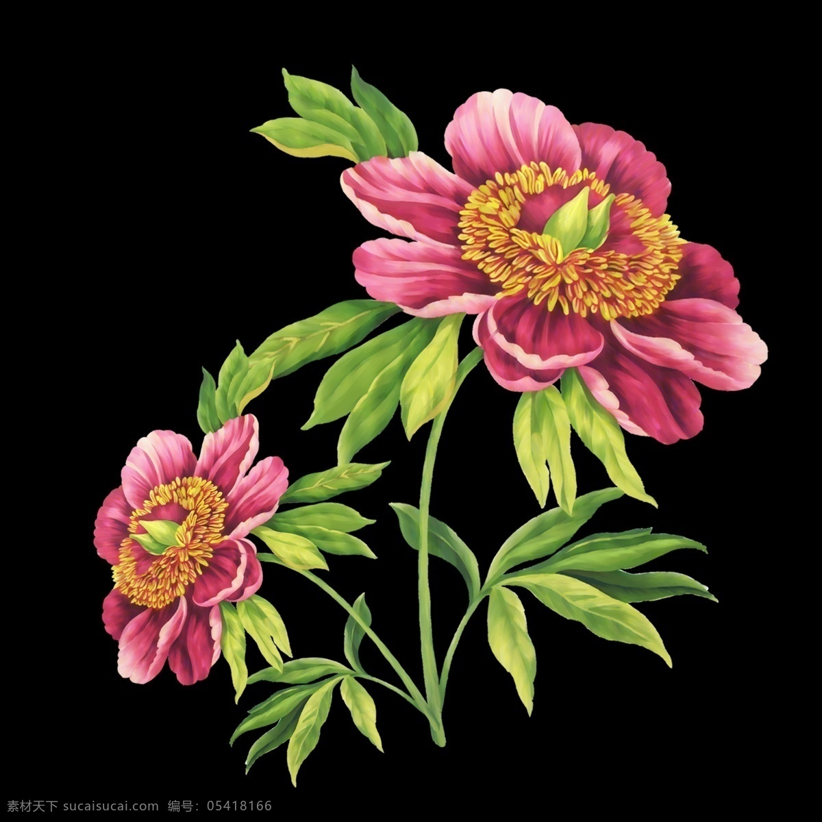 歐式手繪花 歐式 手繪 花朵 植物 花紋 印花圖案 外貿(mào)花型 花邊花紋 底紋邊框
