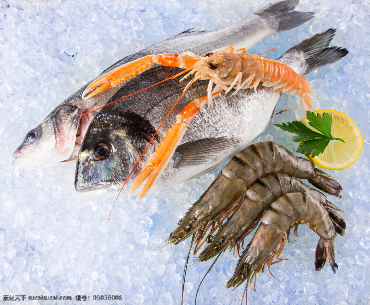 冰凍的海鮮 海鮮 海產(chǎn)品 章魚 海魚 海蝦 三文魚刺身 虎蝦 斑節(jié)蝦 基圍蝦 鰲蝦 青蝦 白蝦 海鮮大咖 海鮮組合 冰塊 冰凍 水產(chǎn) 食物 食材 美味的海鮮 高清圖片 餐飲美食 食物原料