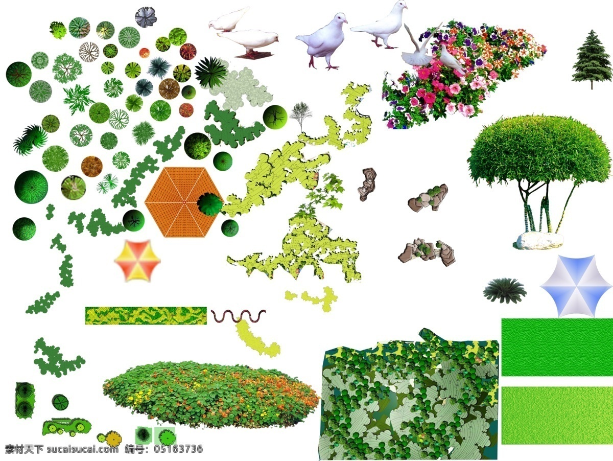 景观绿化图片 景观绿化 绿植 景观素材 彩平 规划 图标