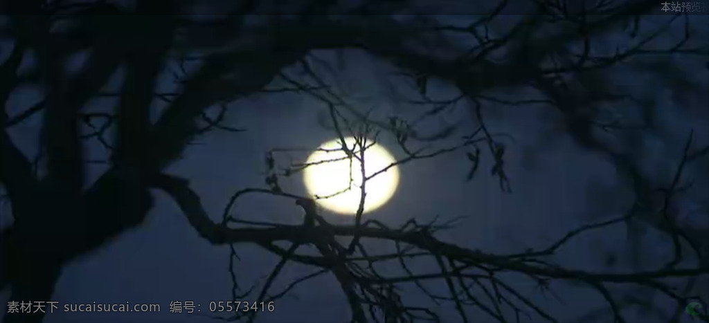 月亮 升起 透过 树枝 镜头 拍摄 高清 实拍 视频 黑夜 高清实拍