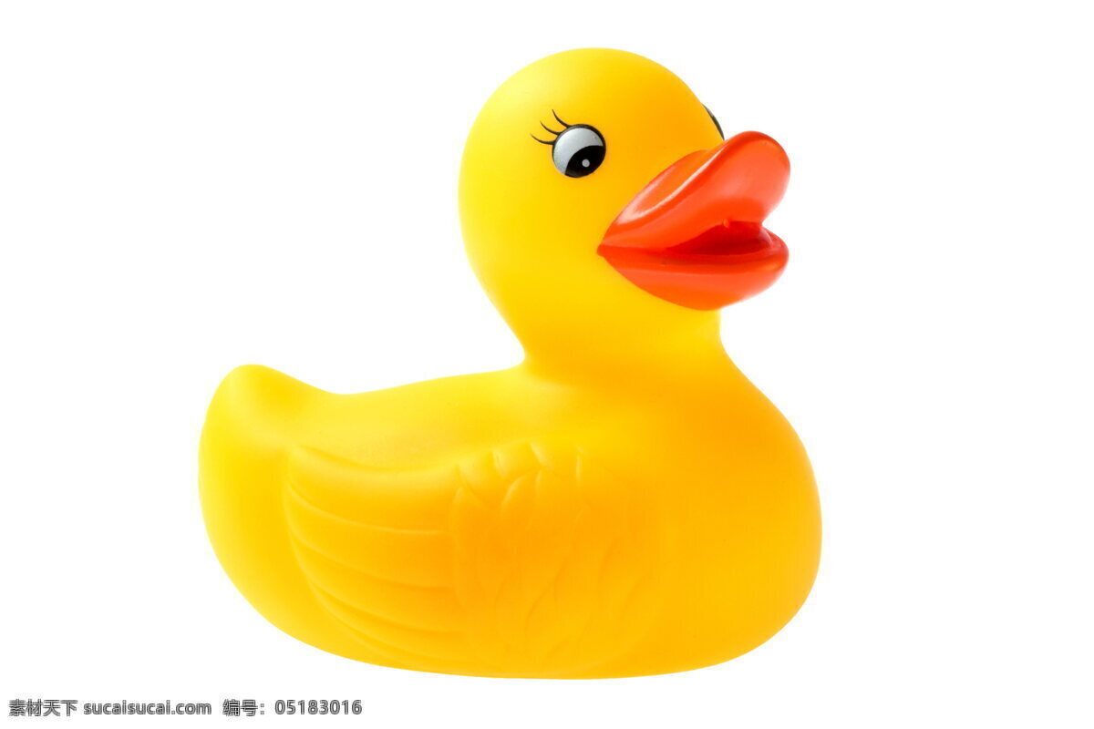 鸭子 玩具 动物摄影 高清 家禽 生物世界 野生动物 鸭子玩具