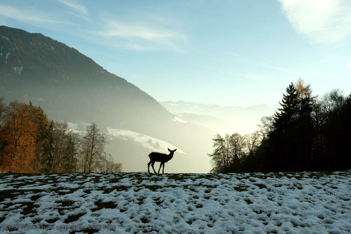 冬季 自然景觀 冬天 晴朗天氣 雪地 山 自然風(fēng)景