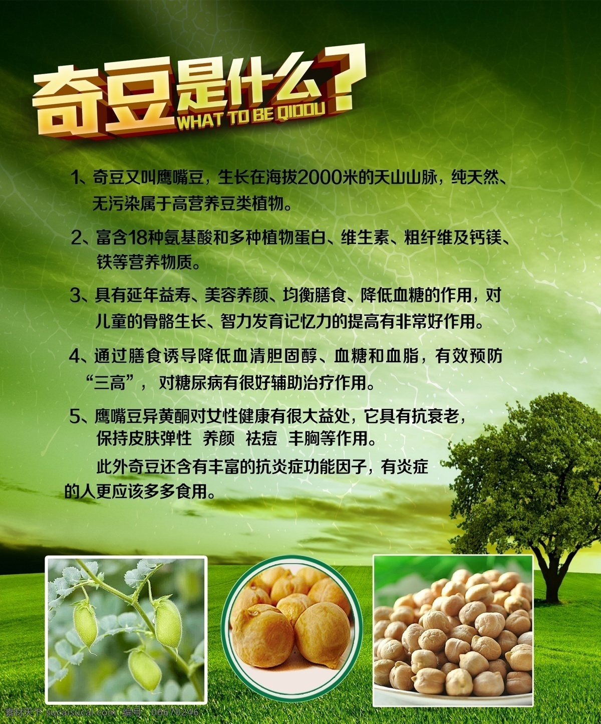 夏季 飲品 多彩 燈箱 奇豆之戀 產(chǎn)品展示 沙灘 多燈箱 青色 天藍(lán)色