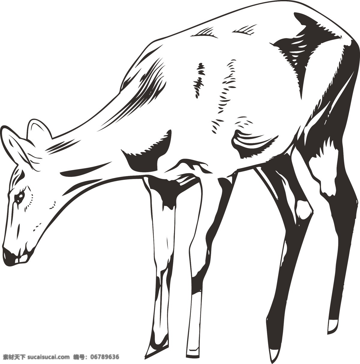 手绘 小鹿 动物 元素 简笔画 简笔画小鹿 手绘小鹿 手绘动物 简约小鹿 写实动物 动物图案 动物装饰 简笔画动物