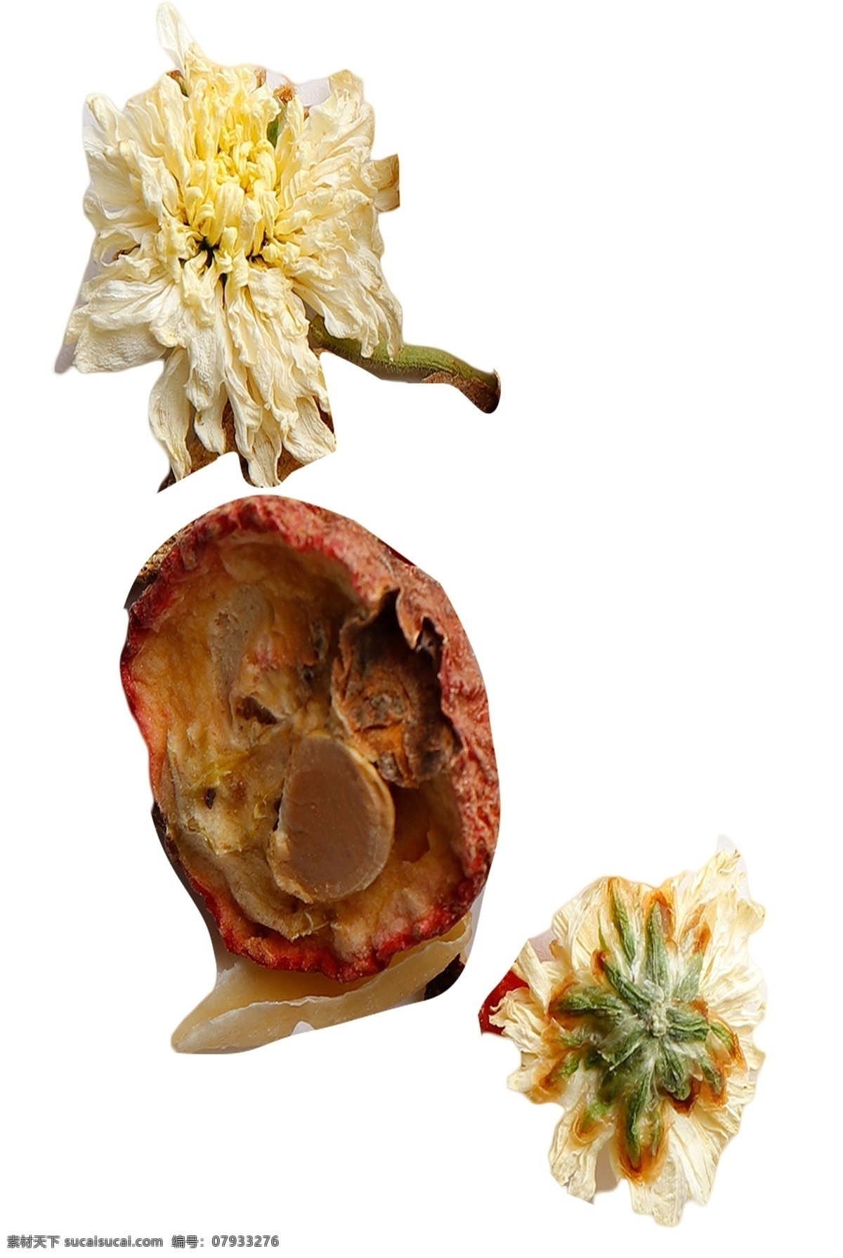 敗火 菊花 酸甜 干果 健康安全 美味營養(yǎng) 滋補(bǔ)身體 食品 藥物 提高 人體 抗病 能力 虛弱 精華 熬制 燉雞
