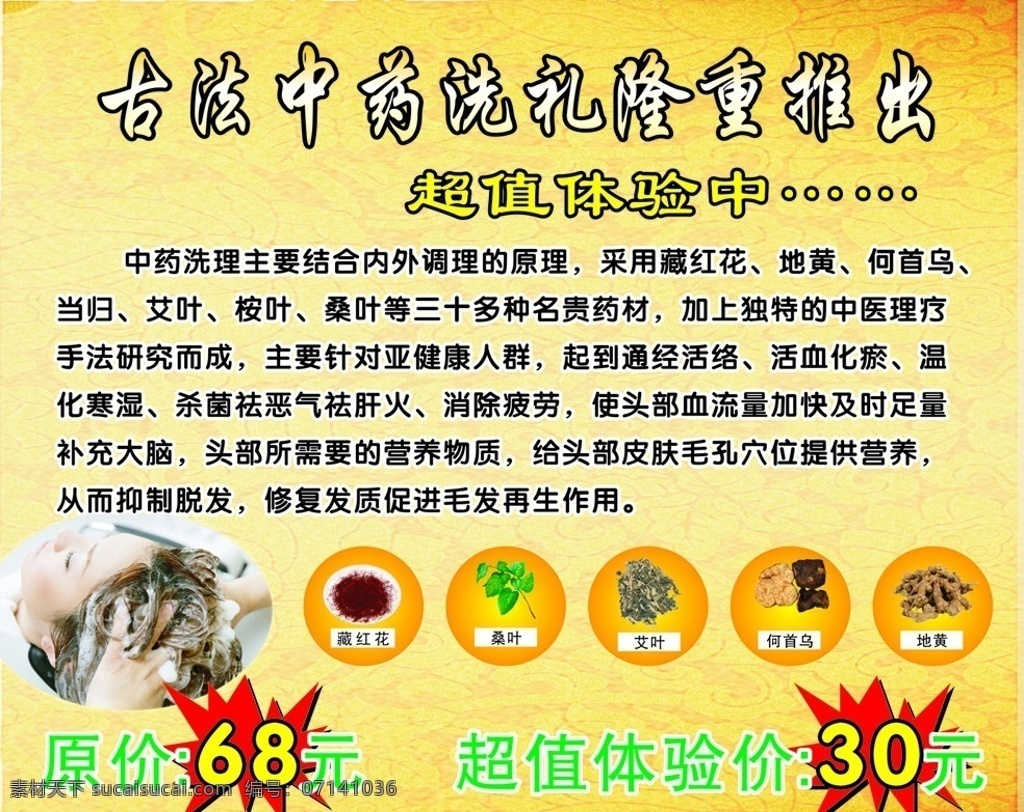 中藥洗護 發(fā)型屋 中藥 洗頭 藏紅花 桑葉 艾葉 何首烏 地黃 底圖 矢量