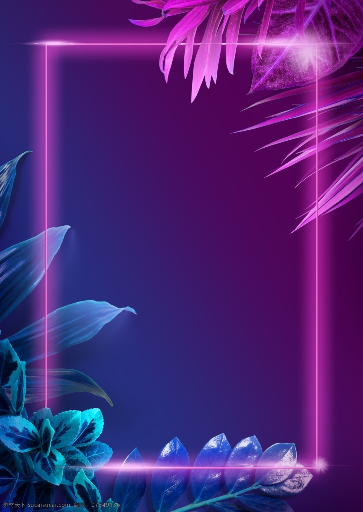霓虹 发光 热带 植物 方框 光线 背景图片 立体背景 曲线 空间 立体 线条 背景 曲线线条 热带植物 霓虹灯 树叶 紫色 蓝色 花纹 免 抠 图
